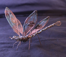 Load image into Gallery viewer, Copper Dragon Fly