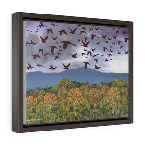 "The Birds Return to the Forest Canopy" in A Gift for a Special Child